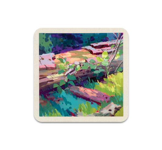 S7 Jennifer Wang - Coaster 2