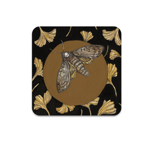 S7 Jessica Roux - Coaster 2