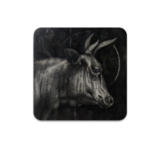 S7 Kodi Bujard - Coaster 2