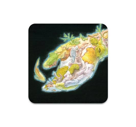 S7 Lachlan Herrick - Coaster 3