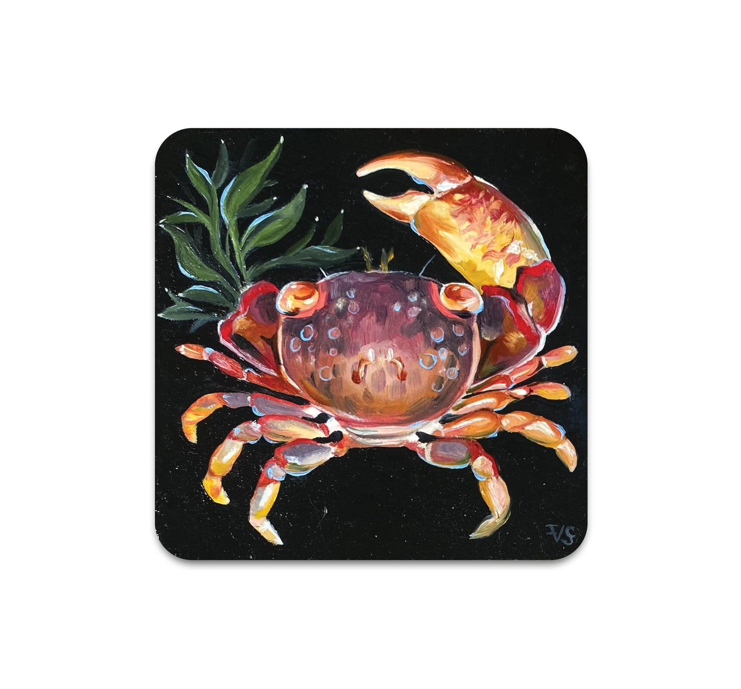 S7 V. Steiner - Coaster 1