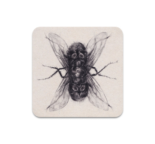 S7 Dusty Ray - Coaster 1