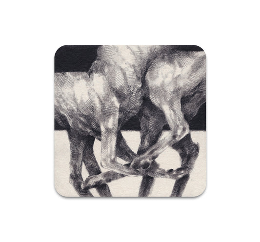 S7 Dusty Ray - Coaster 2