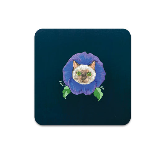 S7 中村ふみ - コースター2