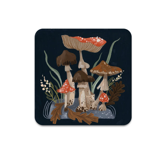 S7 Rae Ritchie - Coaster 3