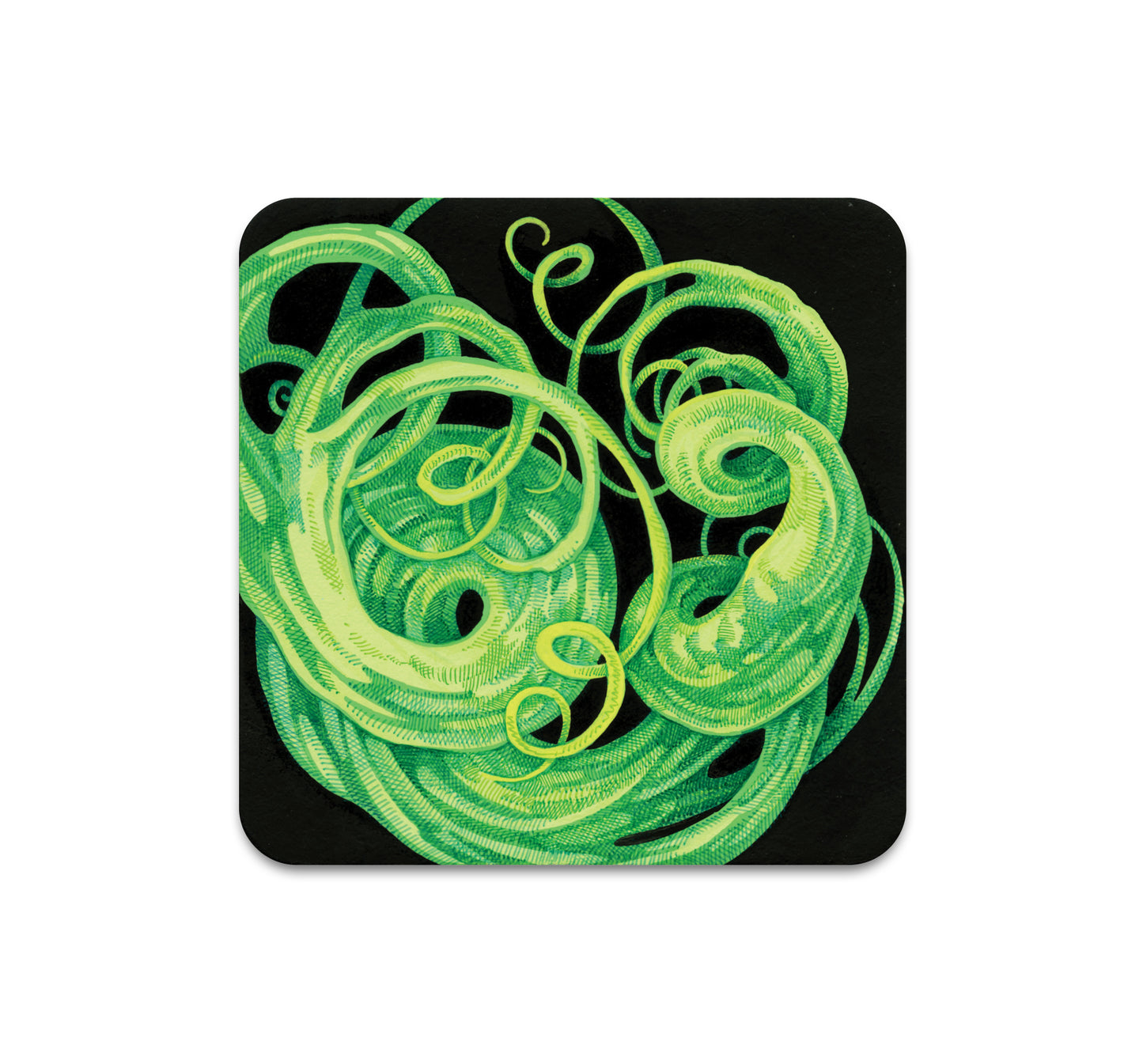 S7 ソン・カン - コースター 4