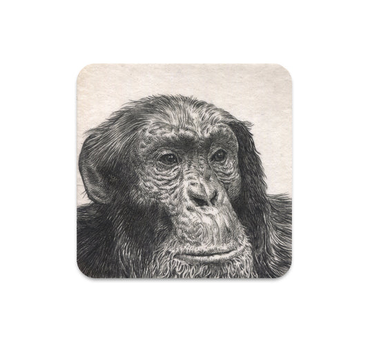 S5 Guno Park - 1 Coaster