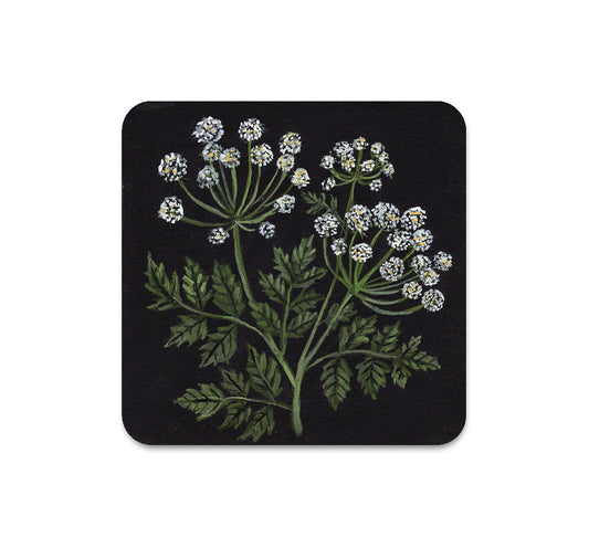 S5 ケリー・ルイーズ・ジャッド - コースター 1 枚