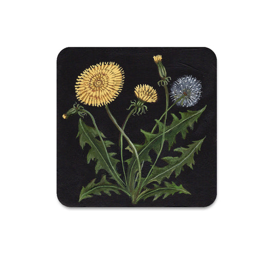 S5 ケリー・ルイーズ・ジャッド - 3 コースター