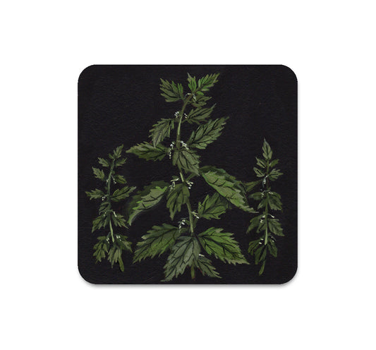 S5 ケリー・ルイーズ・ジャッド - 5 コースター