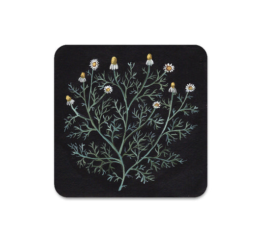 S5 ケリー・ルイーズ・ジャッド - 6 コースター