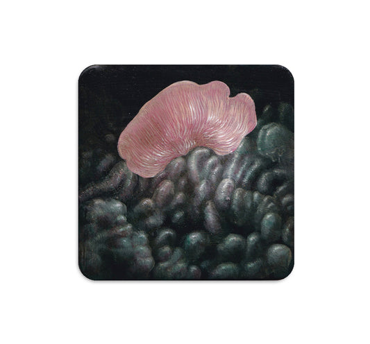 S5 Nicole Duennebier - 1 Coaster