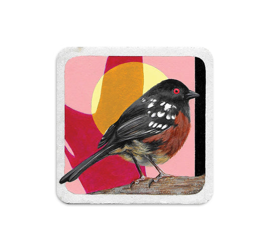 S5 スティーブ・マルティネス - コースター 1 台