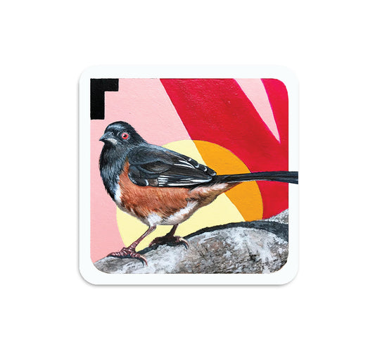 S5 スティーブ・マルティネス - 2 コースター