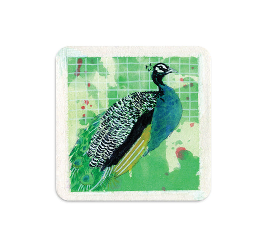 S5 ヴィン・ガナパシー - 2 コースター