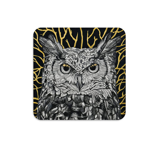 S5 ザック・マイヤー - 2 コースター