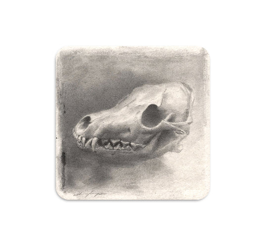 S5 ザカリー・オルデンカンプ - 3 コースター