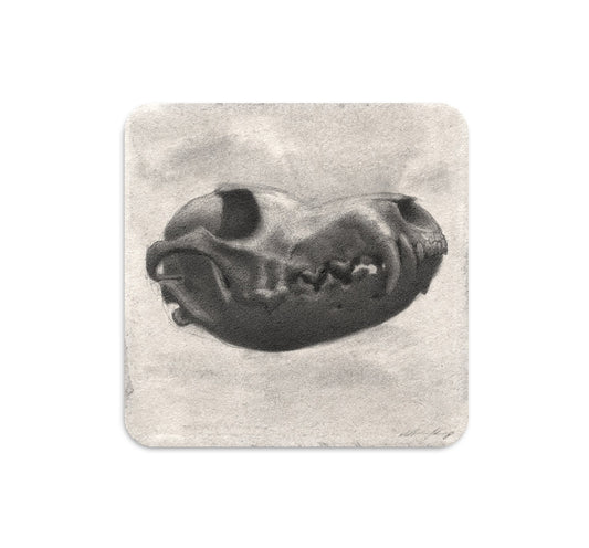 S5 ザカリー・オルデンカンプ - 4 コースター