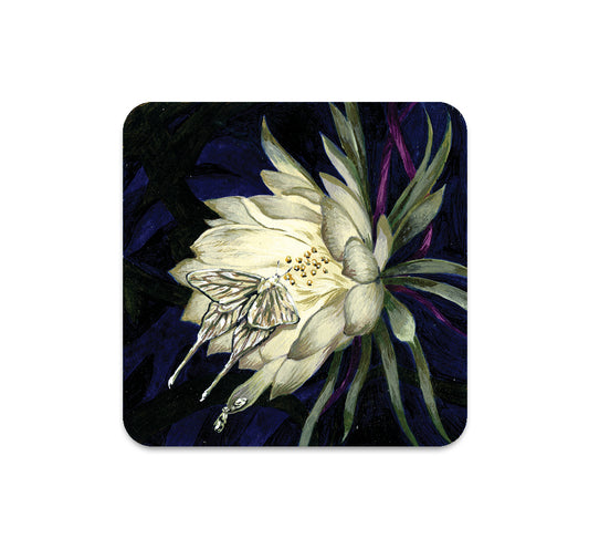 S5 コリン・ヴェルディ - 3 コースター