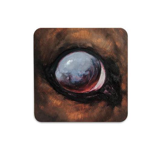 S5 ダスティ レイ - 2 コースター