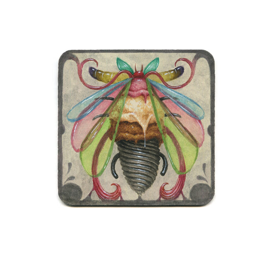 S2 S.V. Williams - Sister Coaster