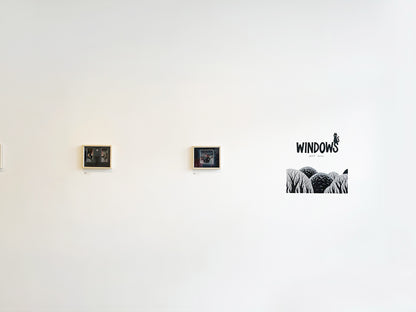 Matt Schu - Window 3