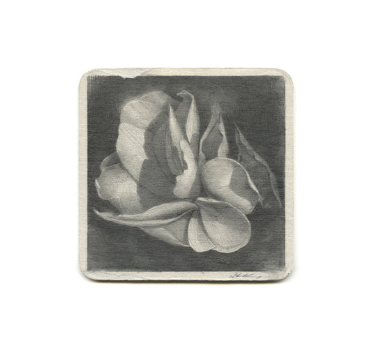 S2 Zach Oldenkamp - Flower For Carl Coaster
