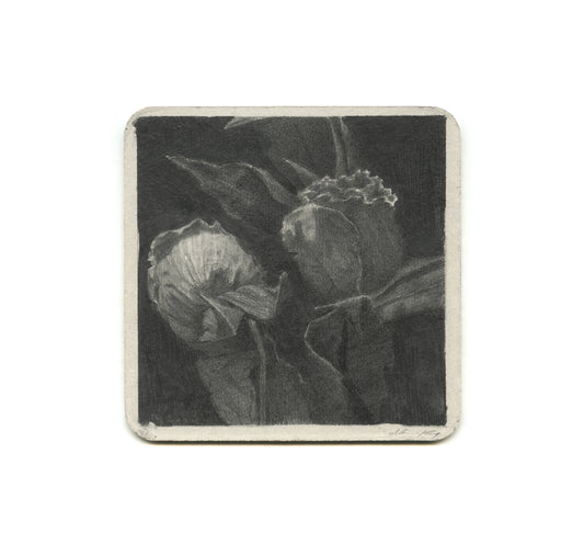 S2 Zach Oldenkamp - Flowers For Jeremy Coaster